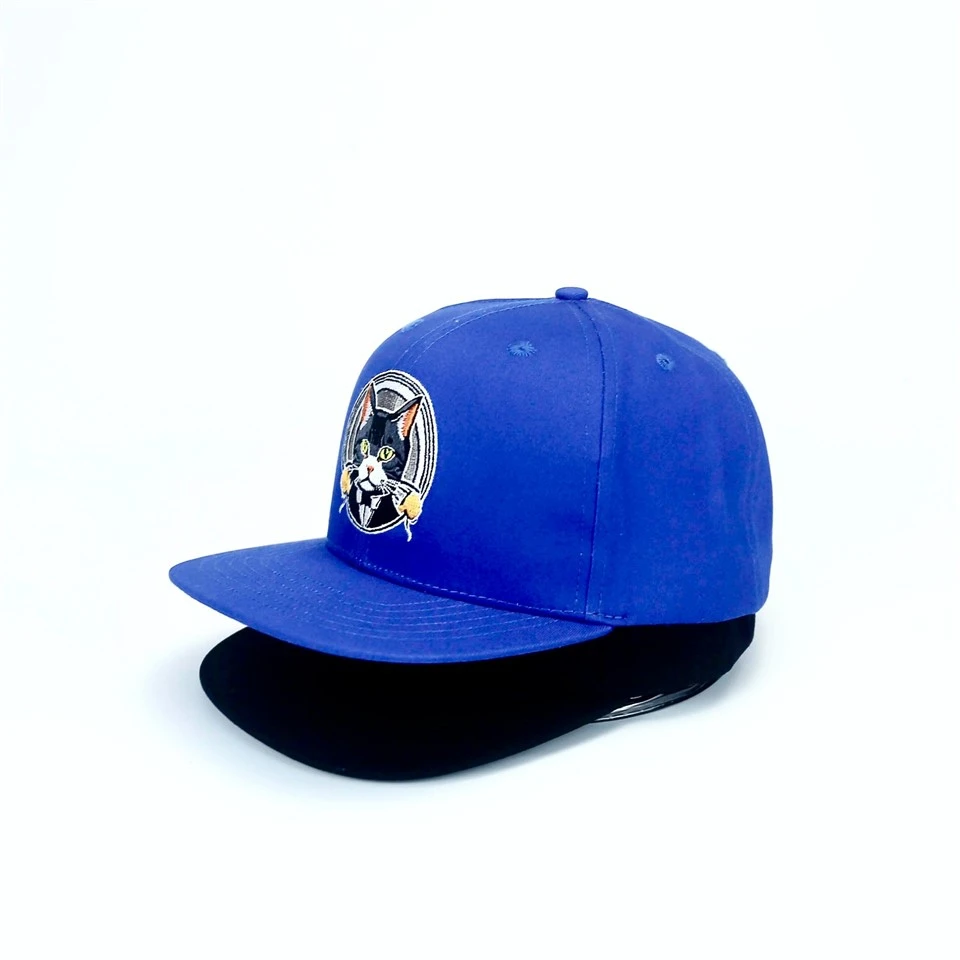 Blank Baseball Caps
