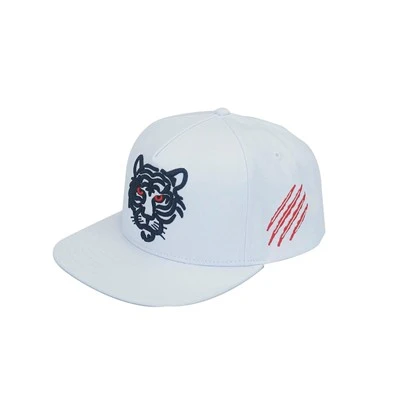 Der Unterschied zwischen einer Baseballkappe und einer Spitzenkappe